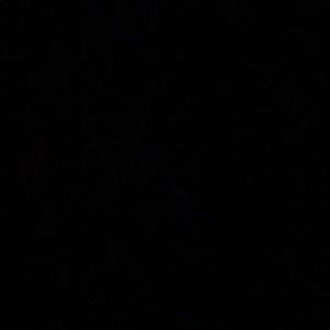 Meet your Posher, Daniella